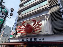 -蟹道乐(道顿堀本店)