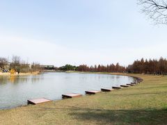 -宁波杭州湾国家湿地公园