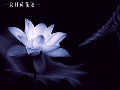 -嘉北郊野公园