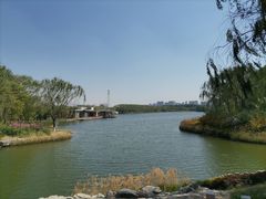 -大兴滨河森林公园