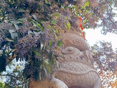 -宝通禅寺