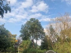-佘山世茂艾美·御珍轩中餐厅