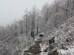 -东白山