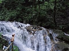 -莫里热带雨林景区