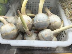 -元谋凉鸡店(百年老店)
