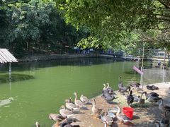 -广东茂名森林公园