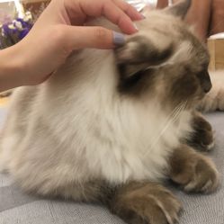 -隅日式美甲美睫專門店