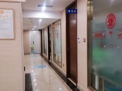 -碧莲盛·不剃发植发