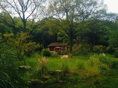 -杭州植物园