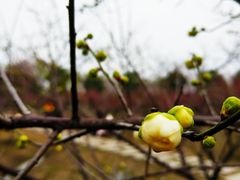 -南湖湿地公园