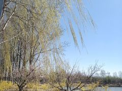 -东郊湿地公园