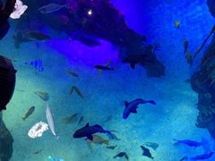 -沈阳海洋探索中心