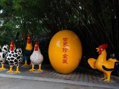 -深圳野生动物园