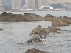 -黑石礁公园