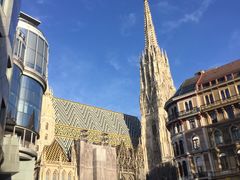-斯蒂芬主教座堂(Stephansdom)