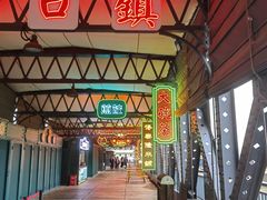 -武汉知音号