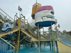 -美的鹭湖森林度假区