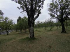 -牛岗山公园