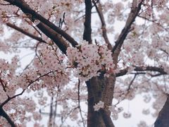 -永乐路-路侧停车场