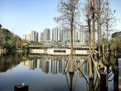 -重庆彩云湖湿地公园