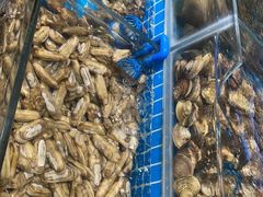 -九月海·海鲜自助(世纪东方店)