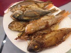 -湛江渔港·大排档(乐园路总店)