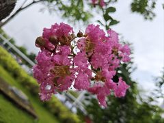 -文华公园(禅城区)