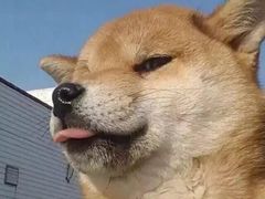 哈哈哈哈哈哈-CAKE BOSS蛋糕老板(公主坟凯德晶品店)