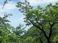 -北京鹫峰国家森林公园