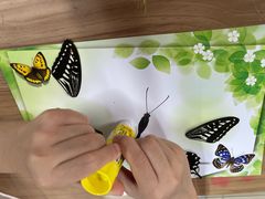 -上海昆虫博物馆