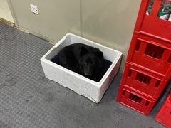 -回头烧烤(悦荟购物中心店)