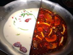 台式麻辣花胶鸡鸳鸯锅-湊湊火锅·茶憩(世博大道店)