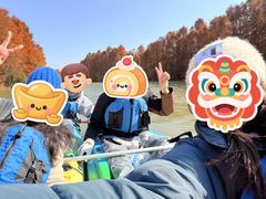 -上海海湾国家森林公园