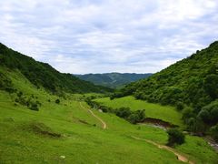 -关山草原