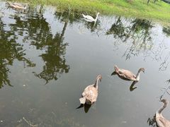 -北龙湖湿地公园