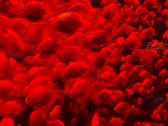 -多彩贵州城极地海洋世界