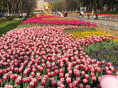 -玄武湖景区-情侣园游乐场