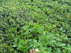 -海富新里城幼儿园