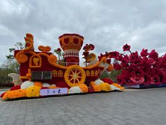 -荷兰花海