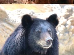 -南昌动物园