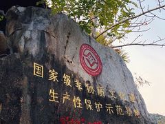-海南槟榔谷黎苗文化旅游区