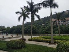 -厦门国家会计学院