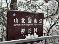 -紫金山山顶公园