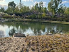 -群力丁香公园