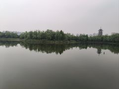 -洋湖国家湿地公园