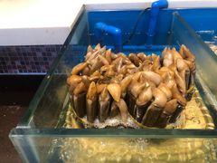 -火舞泰·泰式海鲜火锅餐厅(世纪城店)