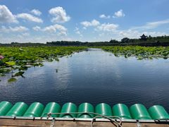 -上海海湾国家森林公园