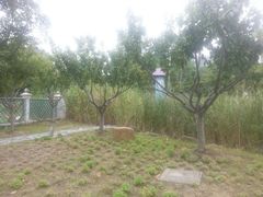 android_upload_pic-白塘生态植物园