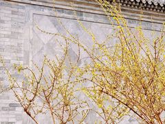 -陶然亭公园
