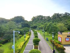 -麗枫酒店(深圳机场福永地铁站店)